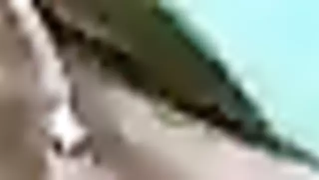 Brunette beauty gives a gentle blowjob to Uzbek woman